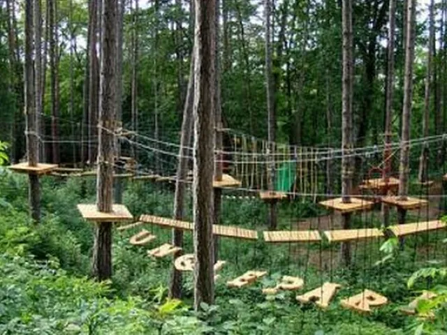 Jungle Park
